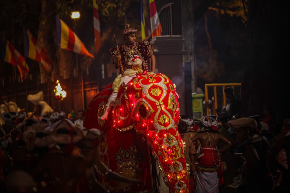 Cultural Festivals & Traditional Arts