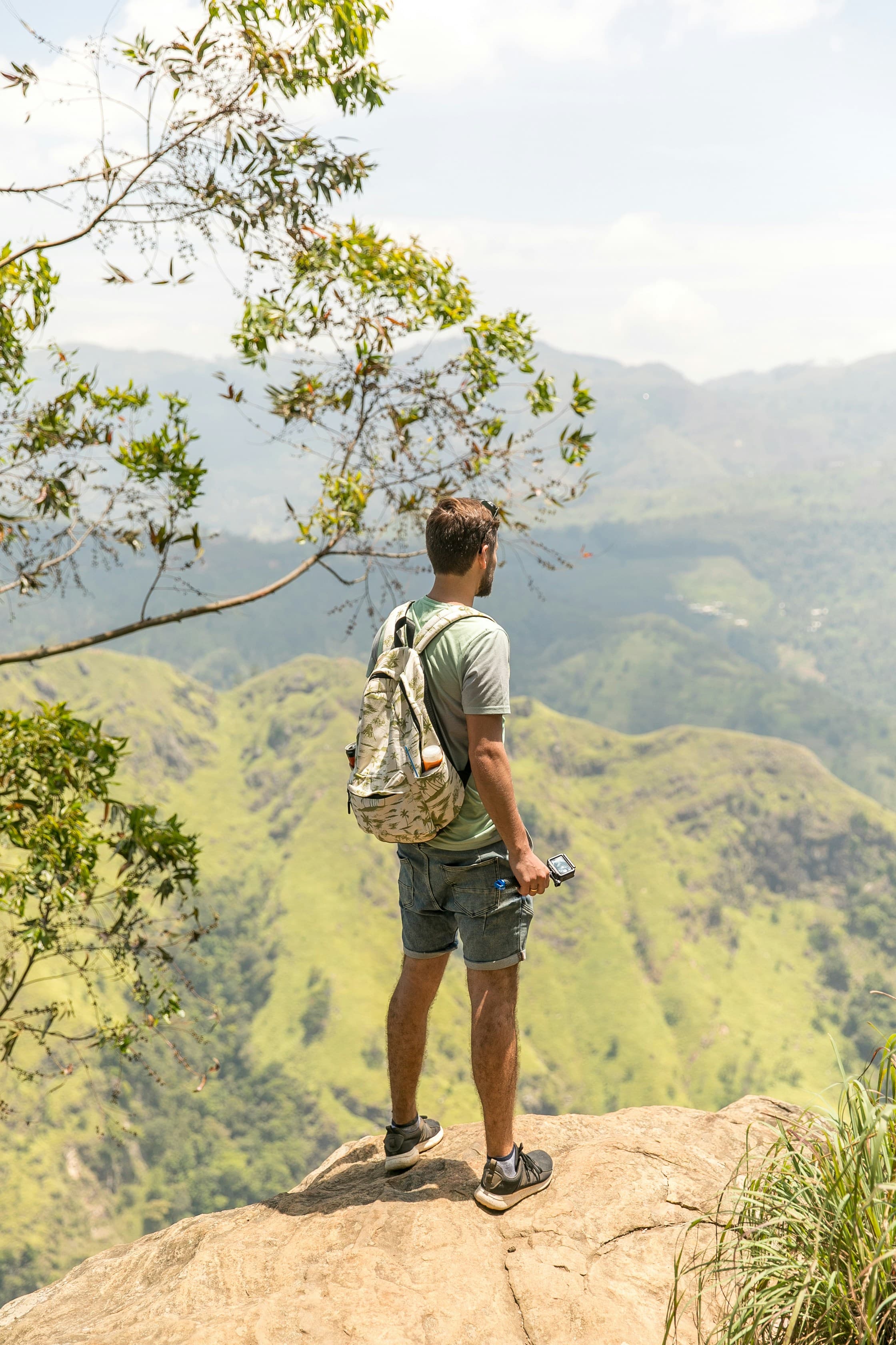 Wildlife & Elephant Safaris