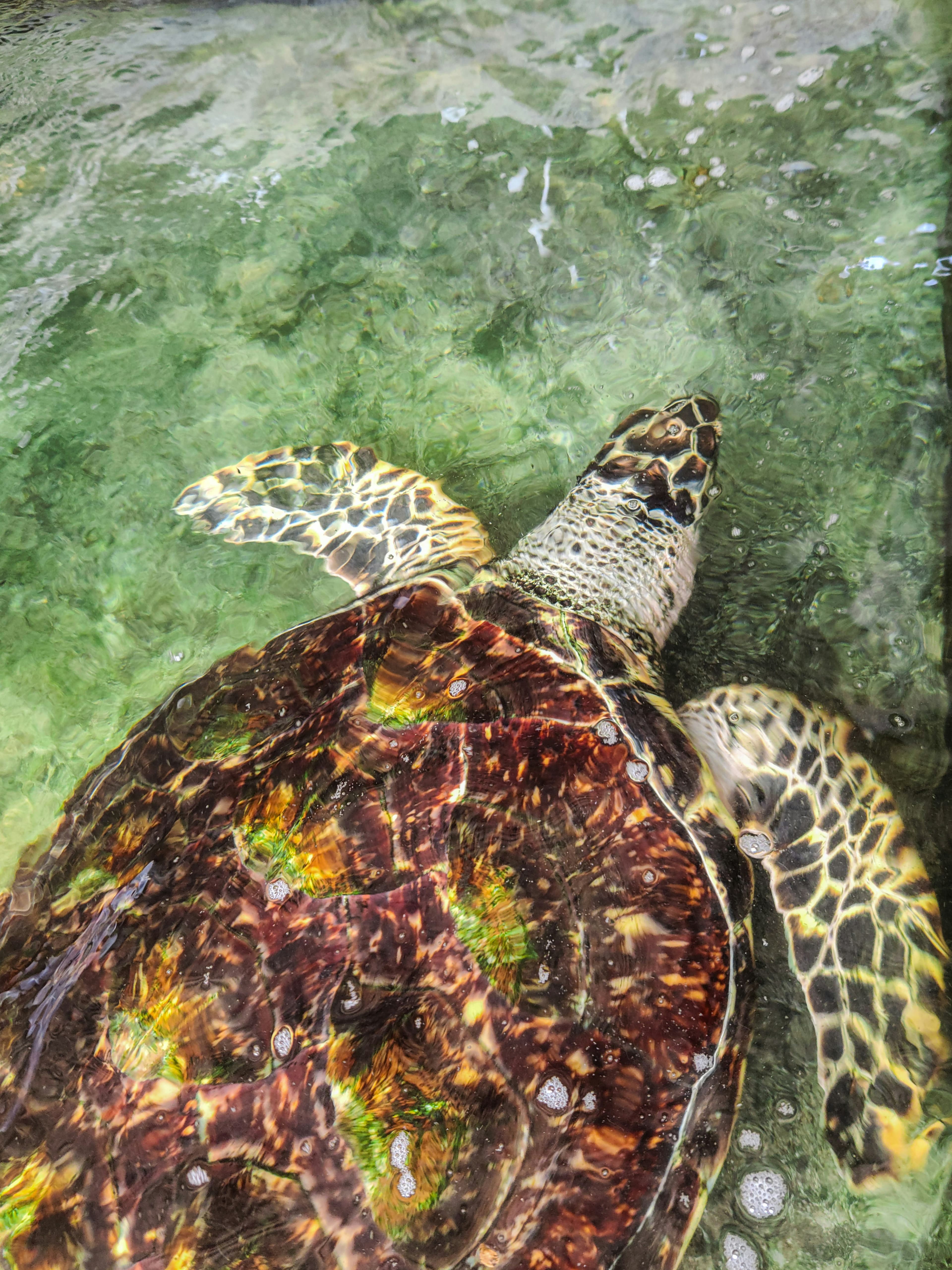 Surfing & Ocean Adventures