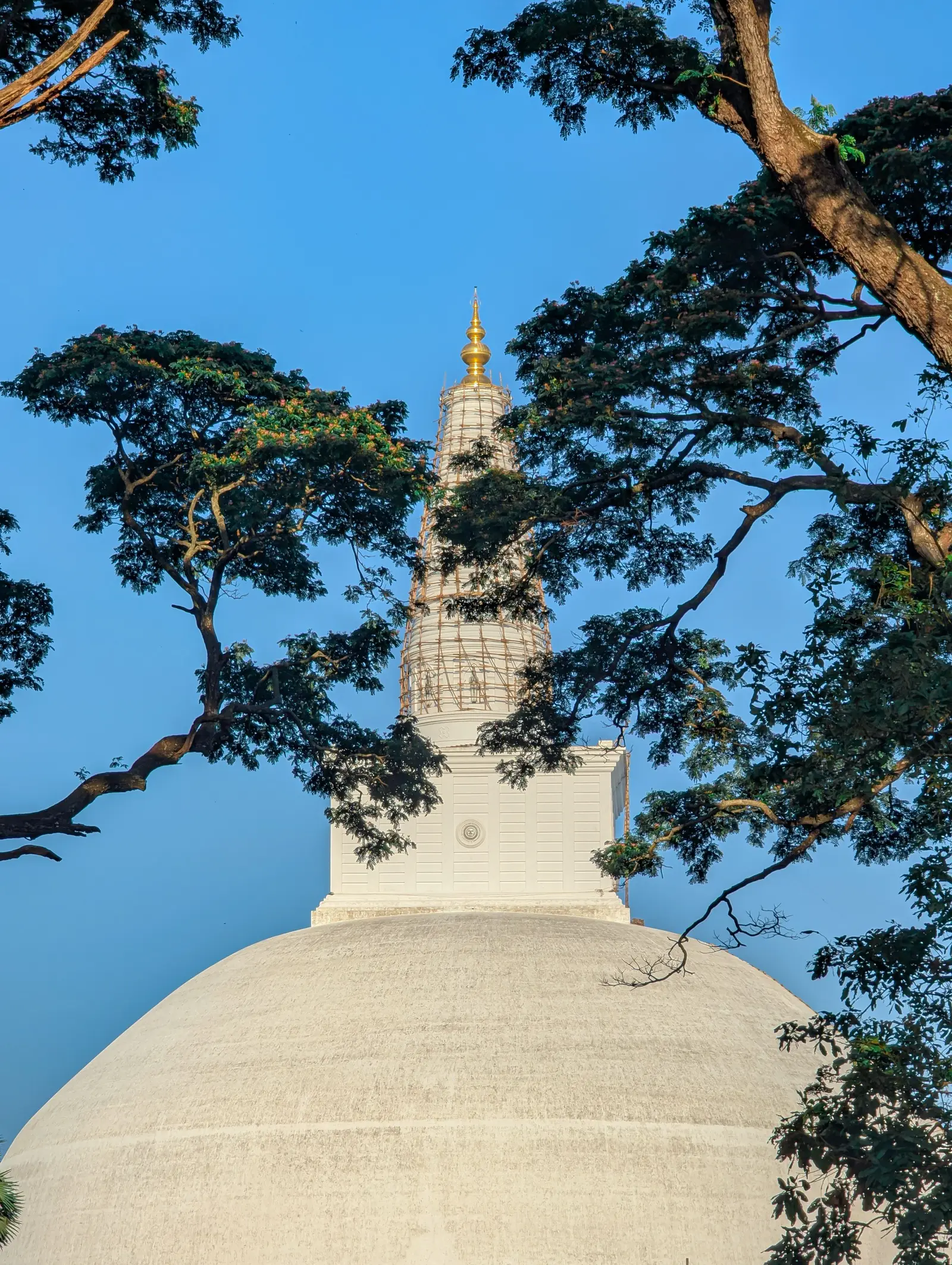 The white Ruwanwelisaya dagoba framed by trees in Anuradhapura