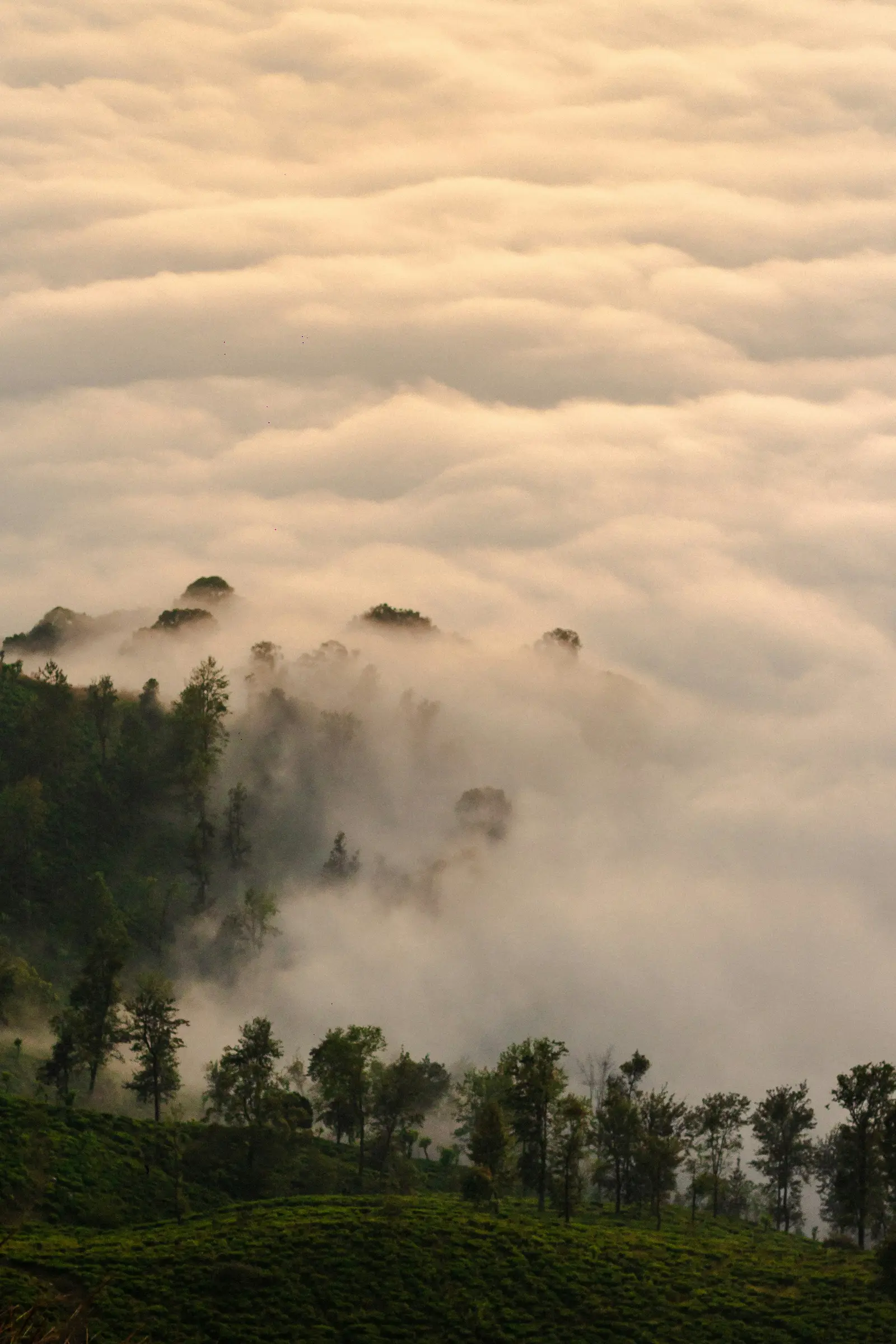 Sri Lanka travel destination