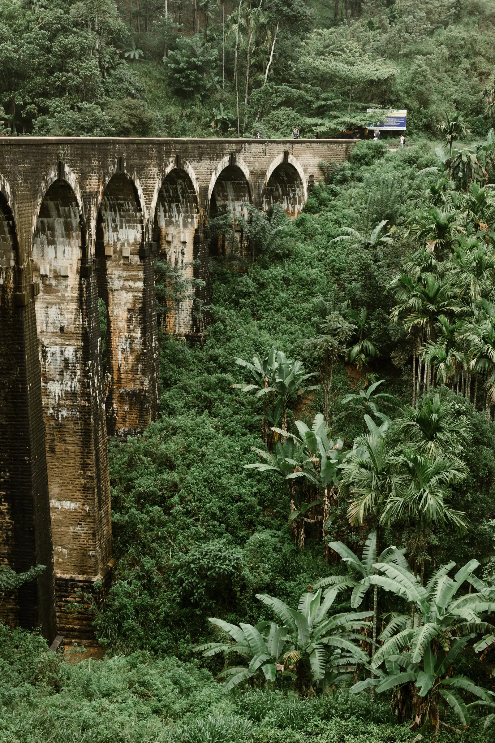 Nine Arch Bridge in Ella surrounded by dense greenery
