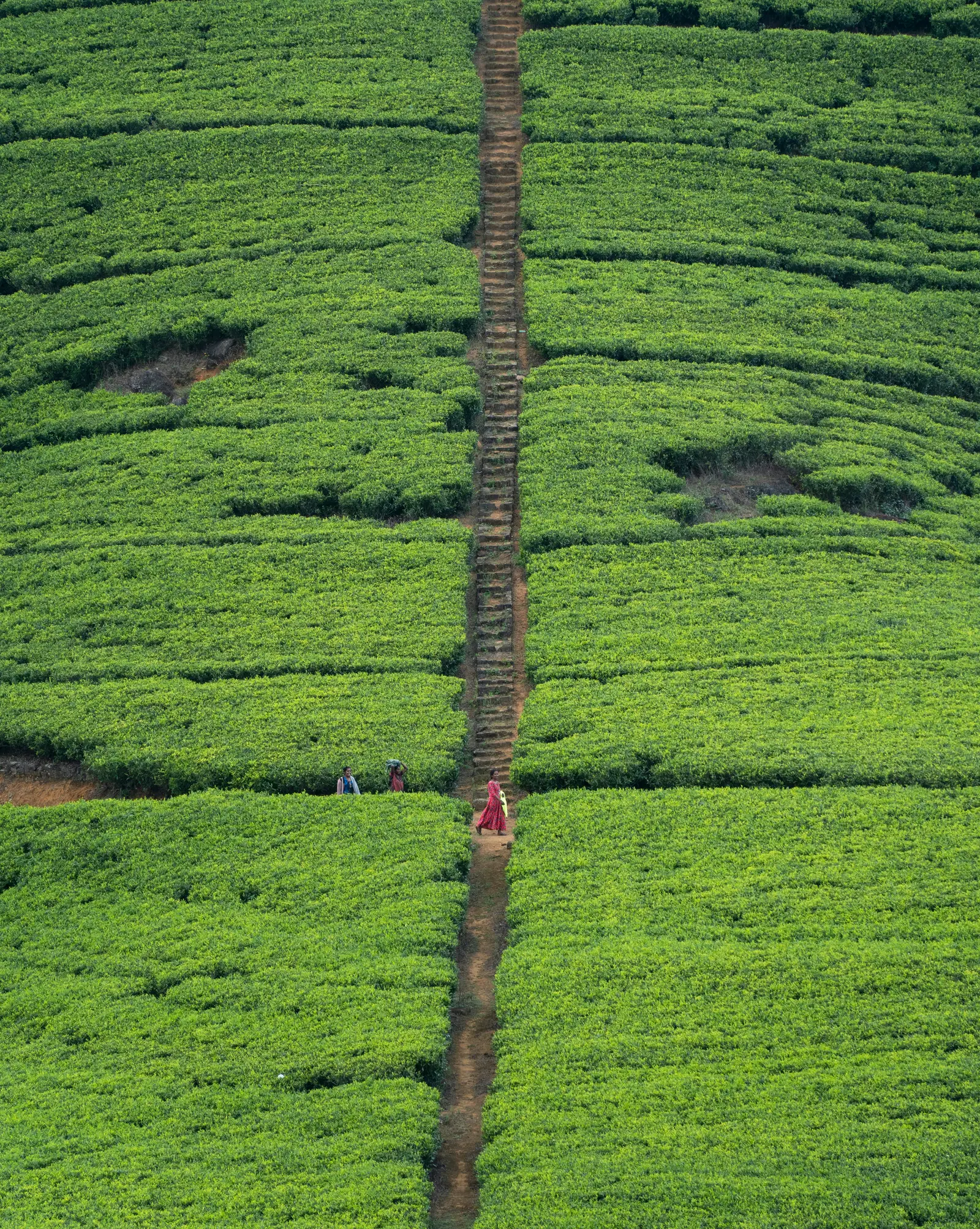 Sri Lanka travel destination