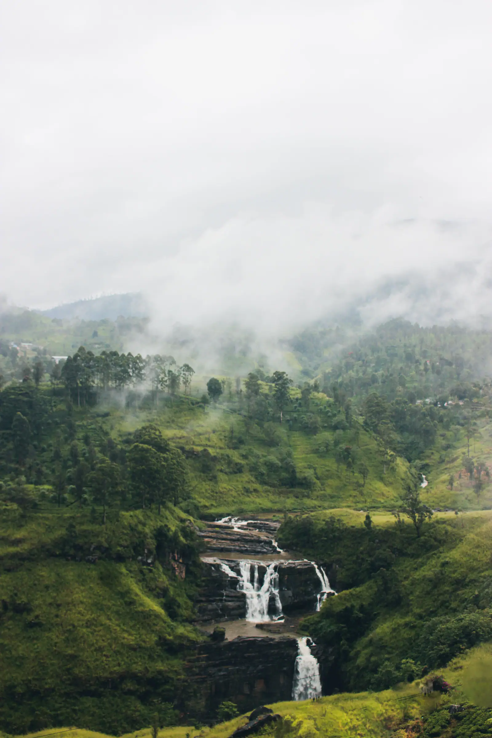 Fast-flowing Kelani River rapids surrounded by rainforest near Kitulgala