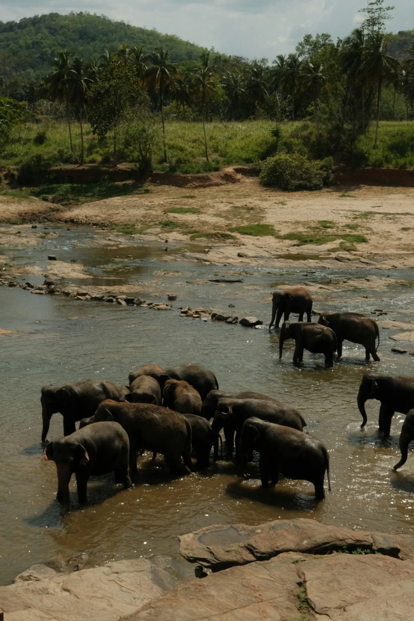 Sri Lanka travel destination
