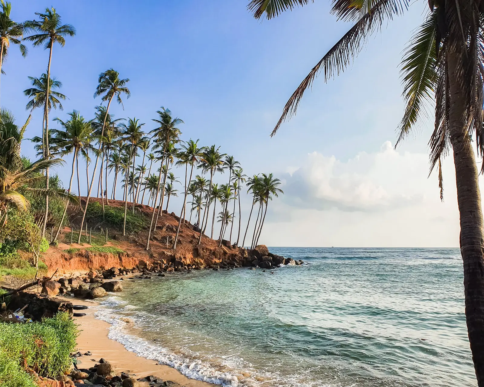 Palm-lined coast and clear ocean around Mirissa