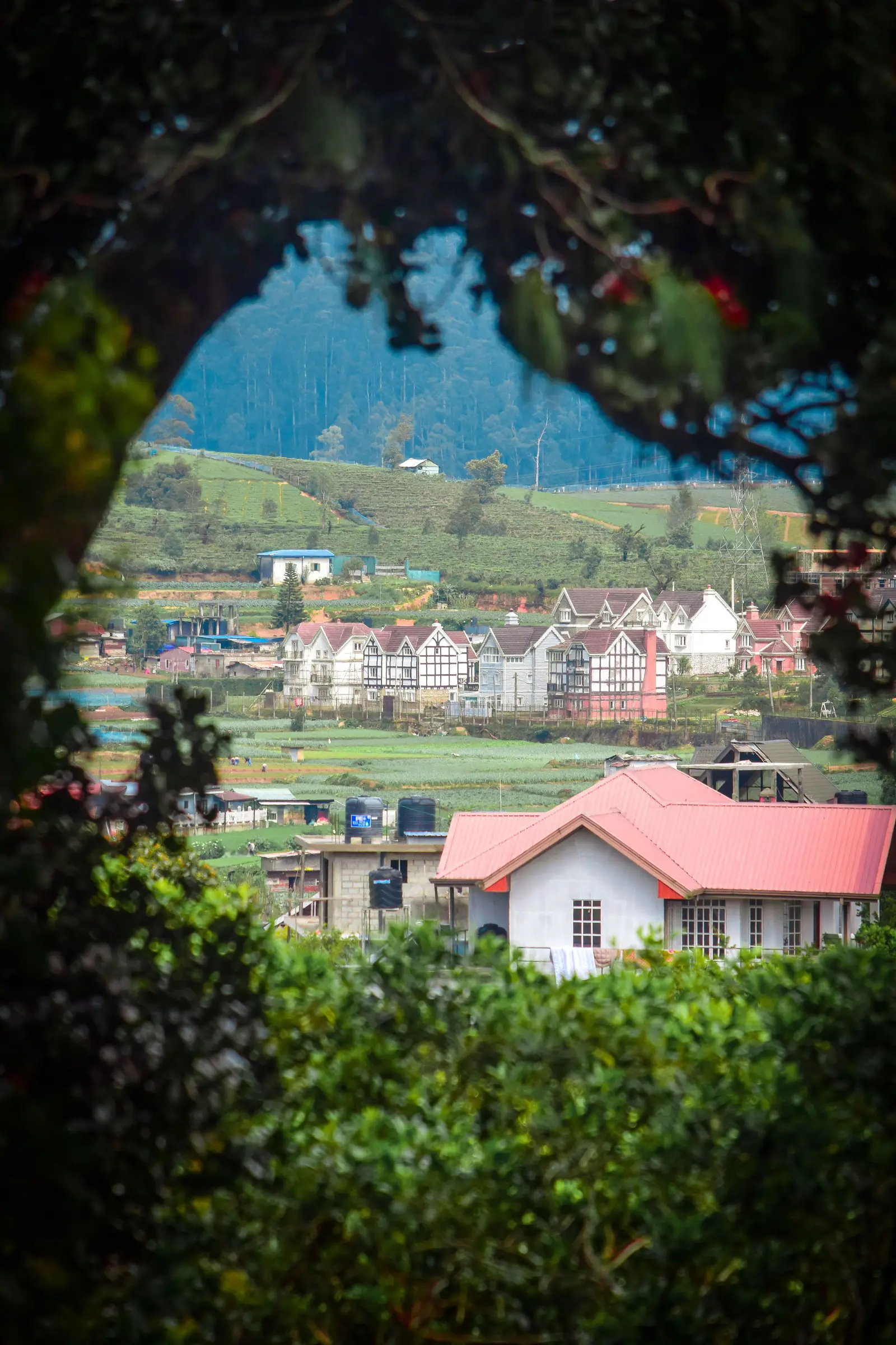 Nuwara Eliya town among tea-covered hills in the Sri Lankan highlands