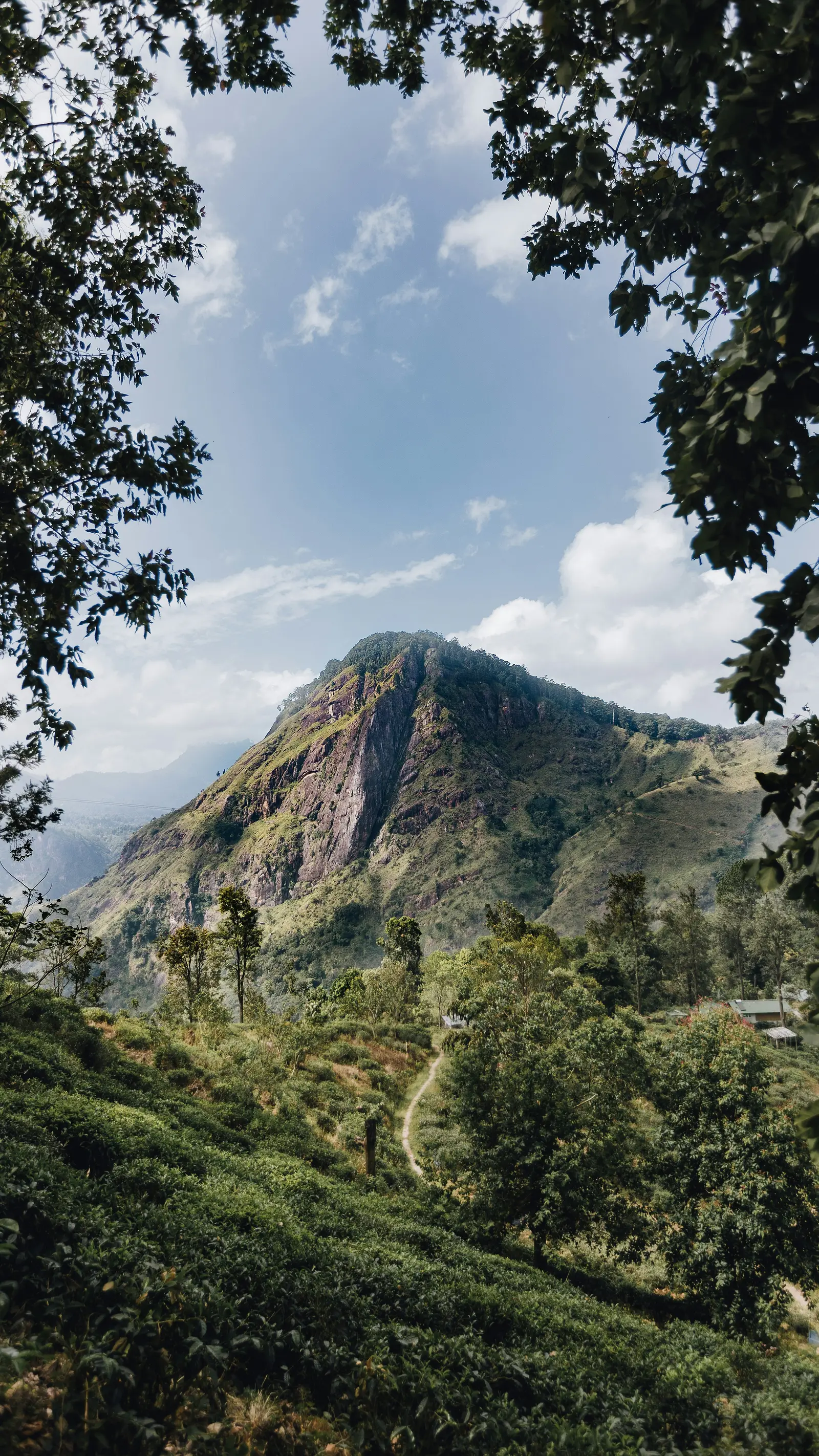 Sri Lanka travel destination