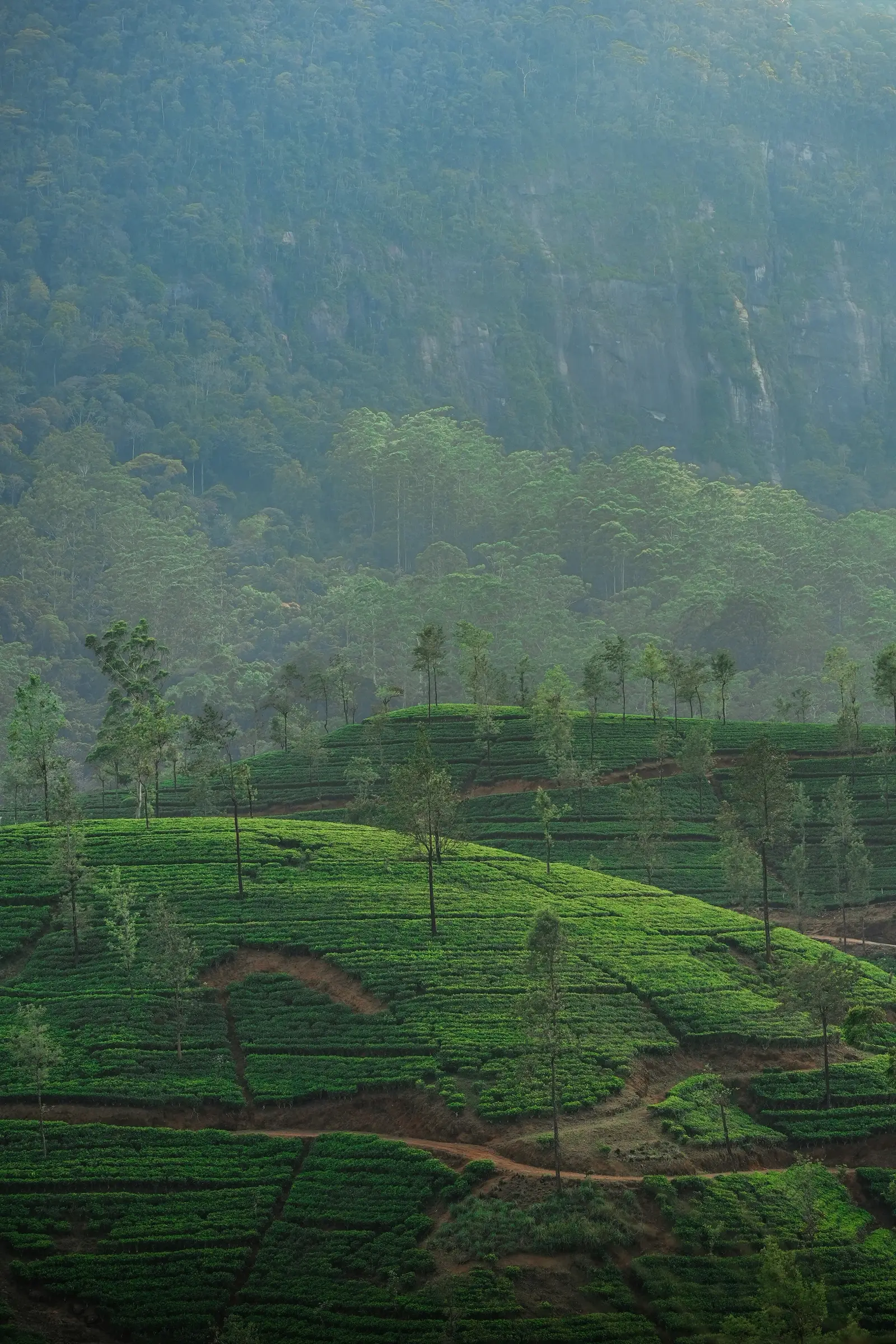 Sri Lanka travel destination