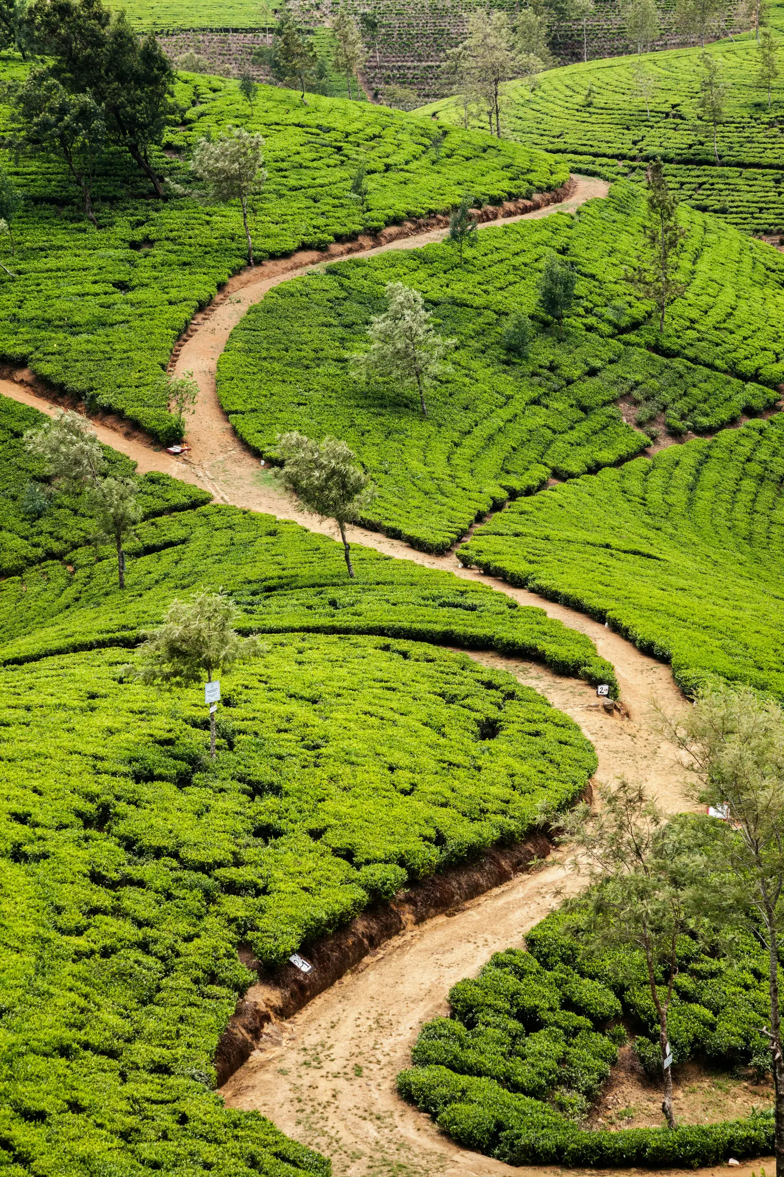 Sri Lanka travel destination