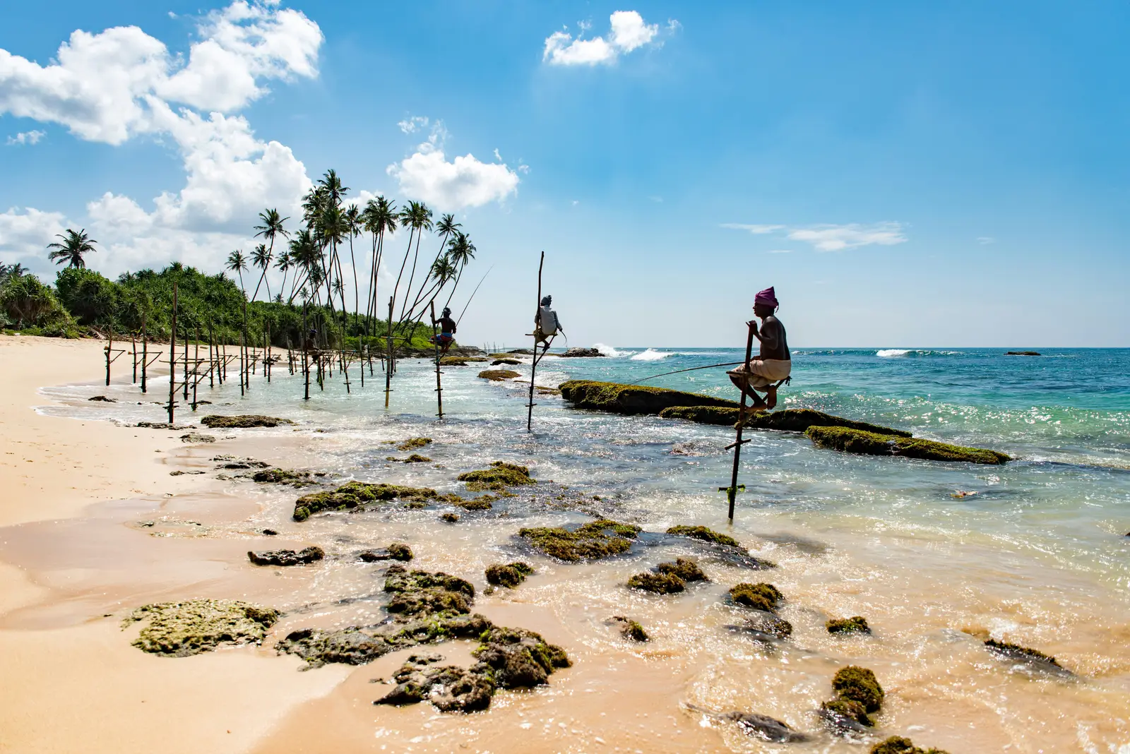 Traditional stilt fishermen above the sea in southern Sri Lanka