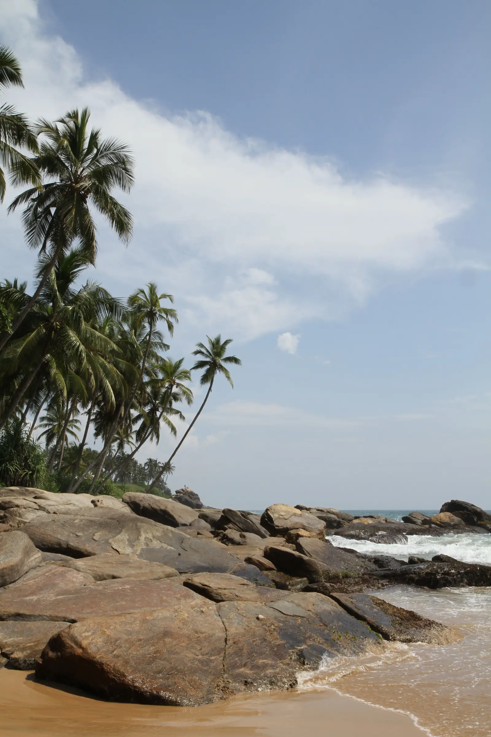 Palms leaning over a quiet rocky beach at Tangalle