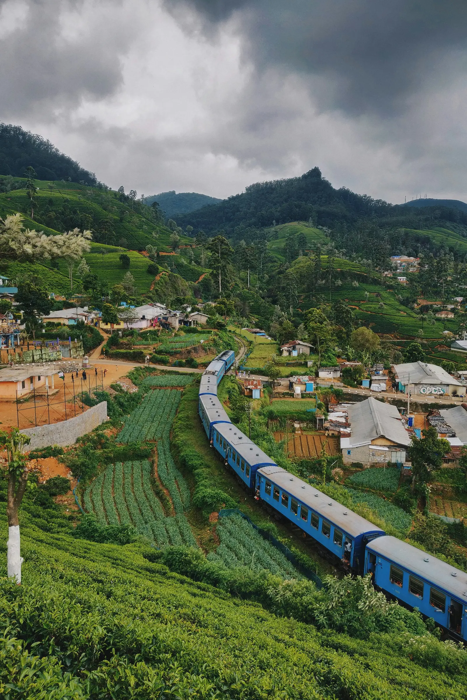 Scenic train through tea country